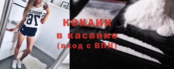 сатива Горнозаводск