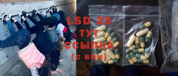 сатива Горнозаводск