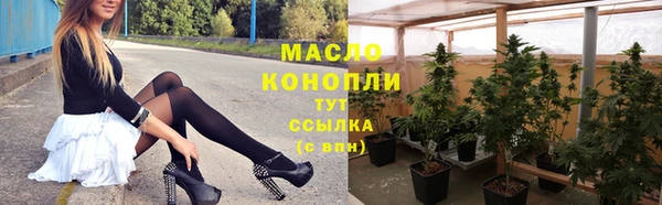 сатива Горнозаводск