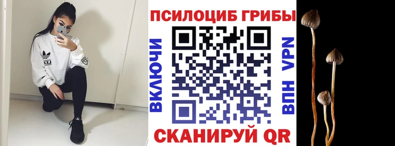 Псилоцибиновые грибы прущие грибы  наркошоп  дарк нет клад  Пласт 